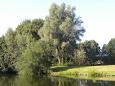 Visvijver hapert 5-2-2014 013