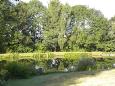 Visvijver hapert 5-2-2014 018