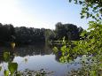 Visvijver hapert 5-2-2014 027