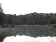 Visvijver hapert 5-2-2014 036