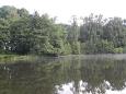 Visvijver hapert 5-2-2014 038