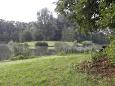 Visvijver hapert 5-2-2014 039