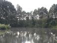 Visvijver hapert 5-2-2014 041