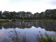 Visvijver hapert 5-2-2014 064